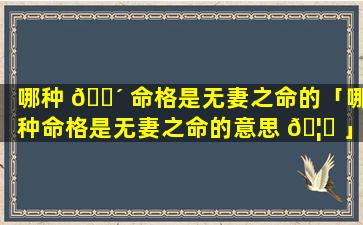 哪种 🌴 命格是无妻之命的「哪种命格是无妻之命的意思 🦟 」